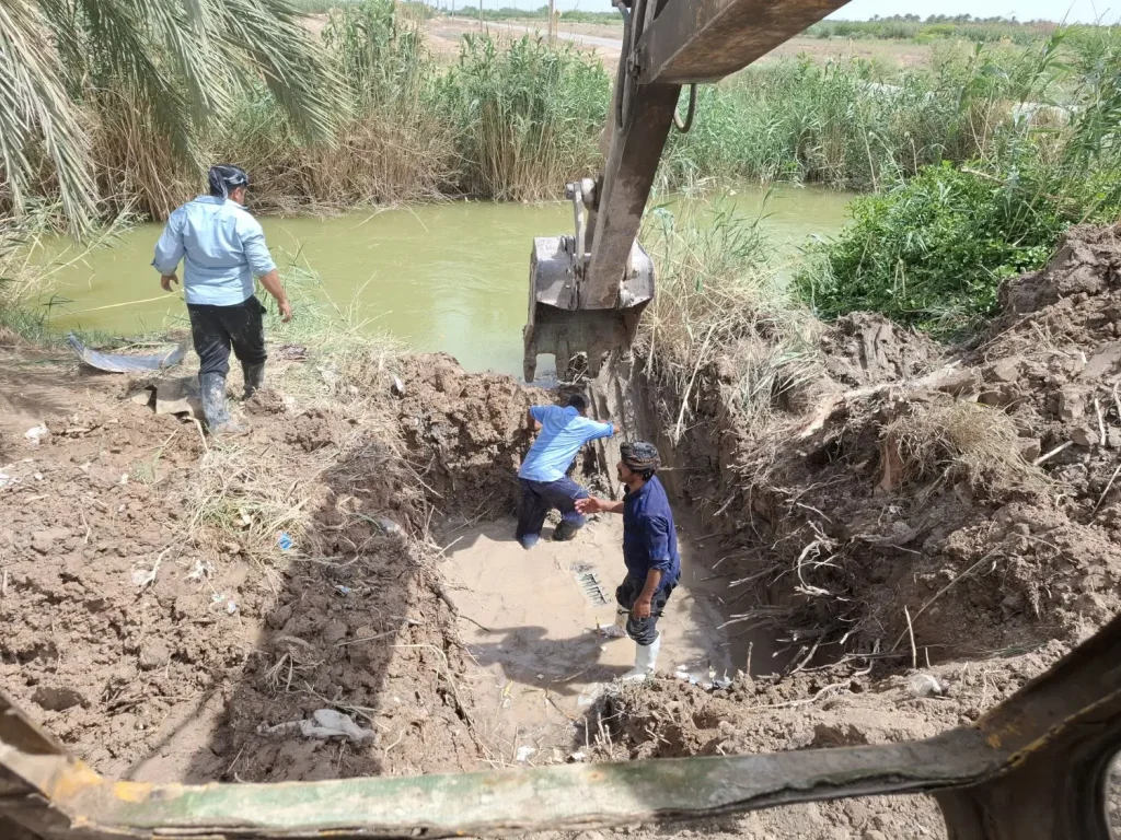اجاره بیل مکانیکی لاستیکی